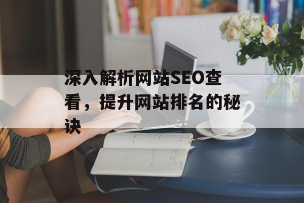 深入解析网站SEO查看,提升网站排名的秘诀 深入解析网站SEO查看,提升网站排名的秘诀