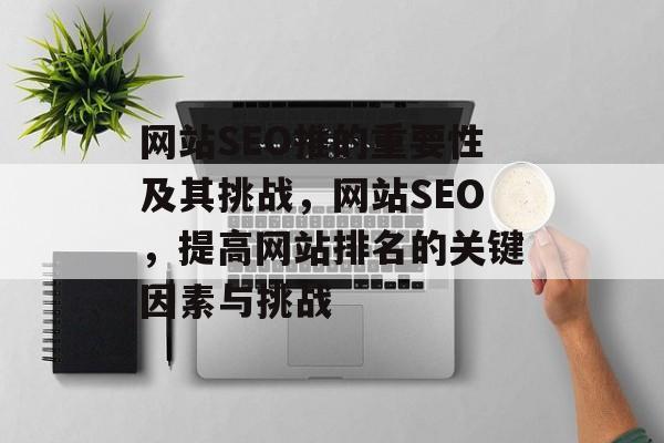 网站SEO推的重要性及其挑战，网站SEO，提高网站排名的关键因素与挑战