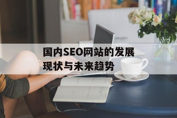 国内SEO网站的发展现状与未来趋势 国内SEO网站的发展现状与未来趋势