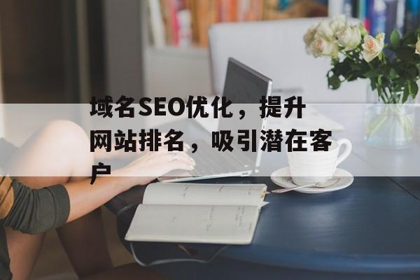 域名SEO优化，提升网站排名，吸引潜在客户