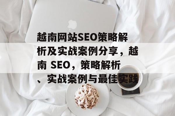 越南网站SEO策略解析及实战案例分享,越南 SEO,策略解析、实战案例与最佳实践 越南网站SEO策略解析及实战案例分享,越南 SEO,策略解析、实战案例与最佳实践