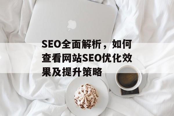SEO全面解析，如何查看网站SEO优化效果及提升策略