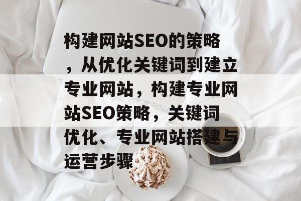 构建网站SEO的策略,从优化关键词到建立专业网站,构建专业网站SEO策略,关键词优化、专业网站搭建与运营步骤 构建网站SEO的策略,从优化关键词到建立专业网站,构建专业网站SEO策略,关键词优化、专业网站搭建与运营步骤