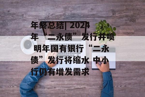 年终总结| 2024年“二永债”发行井喷 明年国有银行“二永债”发行将缩水 中小行仍有增发需求 年终总结| 2024年“二永债”发行井喷 明年国有银行“二永债”发行将缩水 中小行仍有增发需求