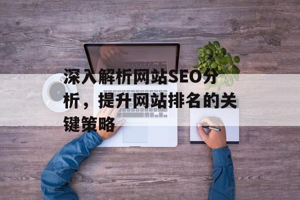 深入解析网站SEO分析，提升网站排名的关键策略