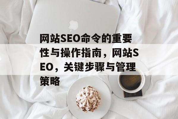 网站SEO命令的重要性与操作指南，网站SEO，关键步骤与管理策略