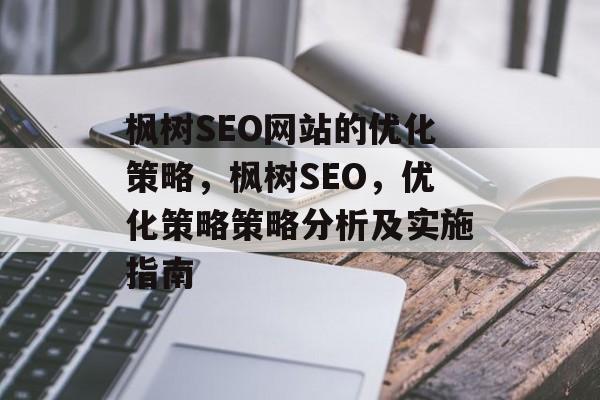枫树SEO网站的优化策略，枫树SEO，优化策略策略分析及实施指南