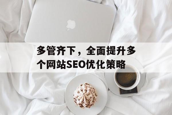 多管齐下，全面提升多个网站SEO优化策略