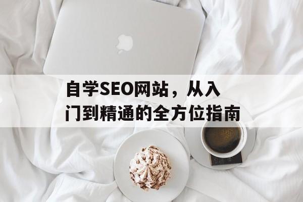 自学SEO网站,从入门到精通的全方位指南 自学SEO网站,从入门到精通的全方位指南
