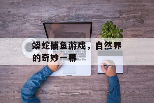 蟒蛇捕鱼游戏,自然界的奇妙一幕 蟒蛇捕鱼游戏,自然界的奇妙一幕