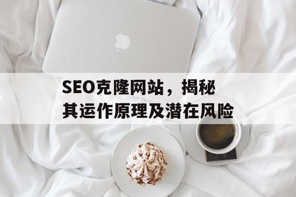 SEO克隆网站，揭秘其运作原理及潜在风险