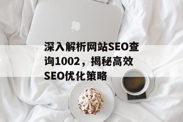 深入解析网站SEO查询1002，揭秘高效SEO优化策略