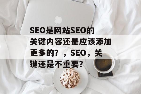 SEO是网站SEO的关键内容还是应该添加更多的?,SEO,关键还是不重要? SEO是网站SEO的关键内容还是应该添加更多的?,SEO,关键还是不重要?