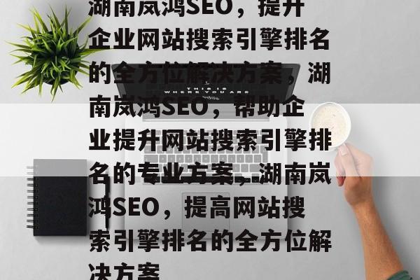 湖南岚鸿SEO，提升企业网站搜索引擎排名的全方位解决方案，湖南岚鸿SEO，帮助企业提升网站搜索引擎排名的专业方案，湖南岚鸿SEO，提高网站搜索引擎排名的全方位解决方案