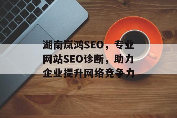 湖南岚鸿SEO，专业网站SEO诊断，助力企业提升网络竞争力