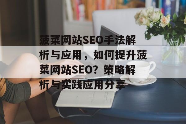 菠菜网站SEO手法解析与应用,如何提升菠菜网站SEO?策略解析与实践应用分享 菠菜网站SEO手法解析与应用,如何提升菠菜网站SEO?策略解析与实践应用分享