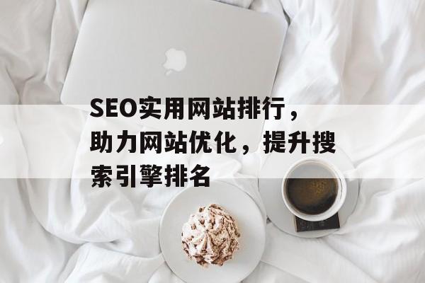 SEO实用网站排行,助力网站优化,提升搜索引擎排名 SEO实用网站排行,助力网站优化,提升搜索引擎排名