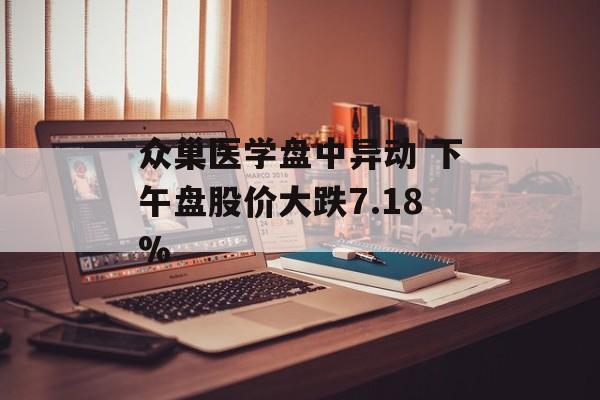 众巢医学盘中异动 下午盘股价大跌7.18%