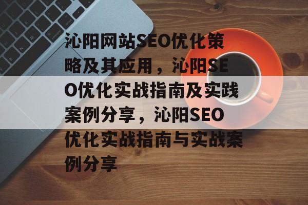 沁阳网站SEO优化策略及其应用，沁阳SEO优化实战指南及实践案例分享，沁阳SEO优化实战指南与实战案例分享