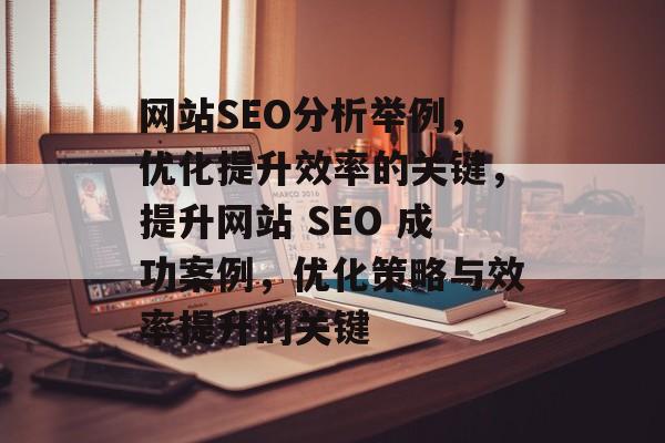 网站SEO分析举例,优化提升效率的关键,提升网站 SEO 成功案例,优化策略与效率提升的关键 网站SEO分析举例,优化提升效率的关键,提升网站 SEO 成功案例,优化策略与效率提升的关键