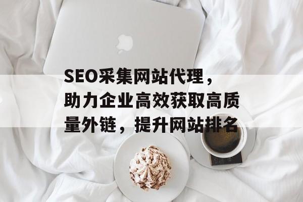 SEO采集网站代理,助力企业高效获取高质量外链,提升网站排名 SEO采集网站代理,助力企业高效获取高质量外链,提升网站排名