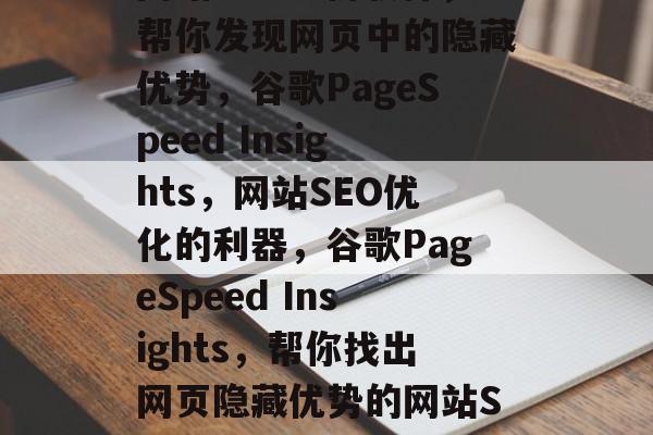 网站SEO分析软件，帮你发现网页中的隐藏优势，谷歌PageSpeed Insights，网站SEO优化的利器，谷歌PageSpeed Insights，帮你找出网页隐藏优势的网站SEO优化神器