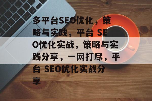 多平台SEO优化，策略与实践，平台 SEO优化实战，策略与实践分享，一网打尽，平台 SEO优化实战分享