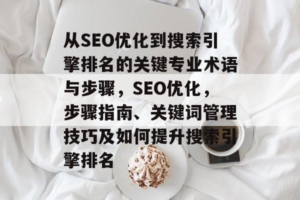 从SEO优化到搜索引擎排名的关键专业术语与步骤，SEO优化，步骤指南、关键词管理技巧及如何提升搜索引擎排名