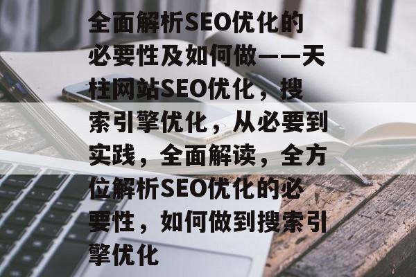 全面解析SEO优化的必要性及如何做——天柱网站SEO优化，搜索引擎优化，从必要到实践，全面解读，全方位解析SEO优化的必要性，如何做到搜索引擎优化