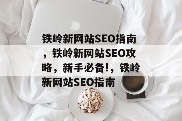 铁岭新网站SEO指南，铁岭新网站SEO攻略，新手必备!，铁岭新网站SEO指南