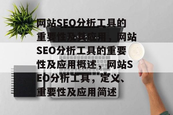 网站SEO分析工具的重要性及其应用，网站SEO分析工具的重要性及应用概述，网站SEO分析工具，定义、重要性及应用简述