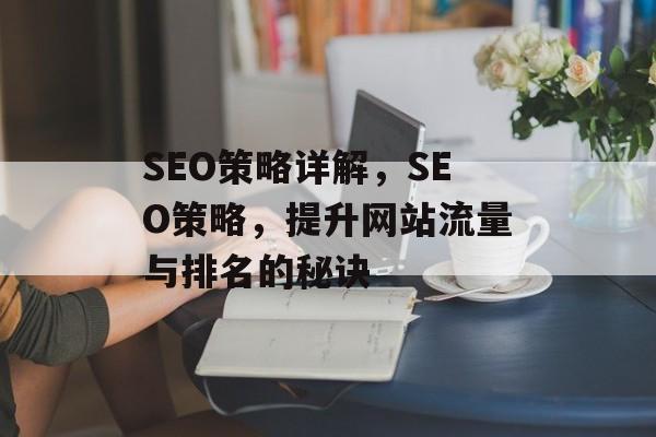 SEO策略详解,SEO策略,提升网站流量与排名的秘诀 SEO策略详解,SEO策略,提升网站流量与排名的秘诀