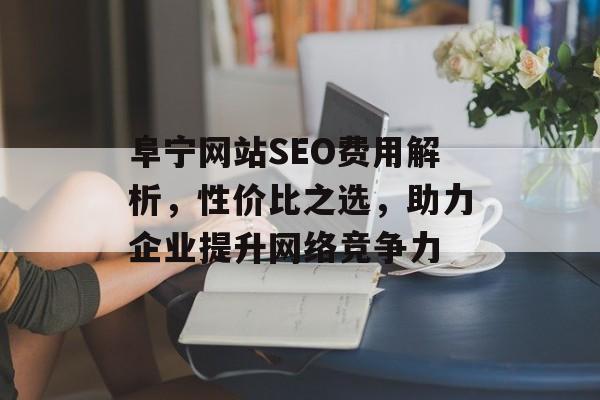 阜宁网站SEO费用解析,性价比之选,助力企业提升网络竞争力 阜宁网站SEO费用解析,性价比之选,助力企业提升网络竞争力