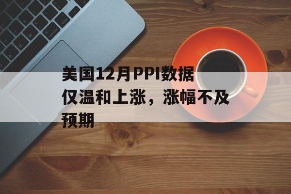 美国12月PPI数据仅温和上涨,涨幅不及预期 美国12月PPI数据仅温和上涨,涨幅不及预期