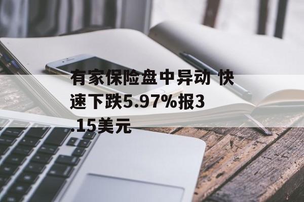 有家保险盘中异动 快速下跌5.97%报3.15美元 有家保险盘中异动 快速下跌5.97%报3.15美元