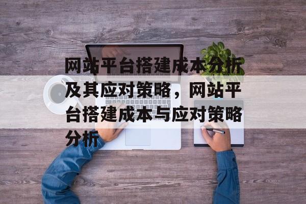 网站平台搭建成本分析及其应对策略，网站平台搭建成本与应对策略分析