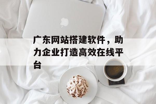 广东网站搭建软件，助力企业打造高效在线平台