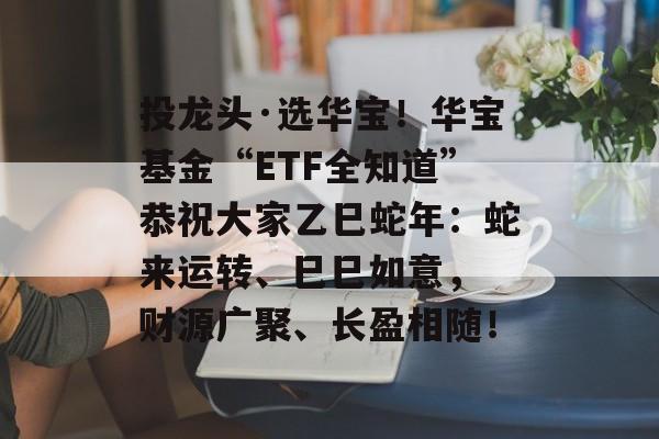 投龙头·选华宝！华宝基金“ETF全知道”恭祝大家乙巳蛇年：蛇来运转、巳巳如意， 财源广聚、长盈相随！