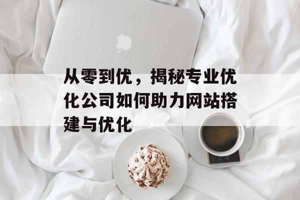 从零到优，揭秘专业优化公司如何助力网站搭建与优化