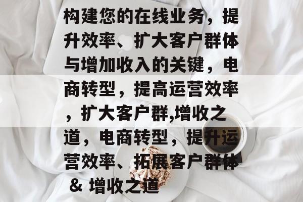 构建您的在线业务，提升效率、扩大客户群体与增加收入的关键，电商转型，提高运营效率，扩大客户群,增收之道，电商转型，提升运营效率、拓展客户群体 & 增收之道