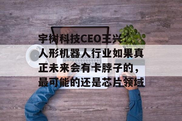 宇树科技CEO王兴:人形机器人行业如果真正未来会有卡脖子的,最可能的还是芯片领域 宇树科技CEO王兴:人形机器人行业如果真正未来会有卡脖子的,最可能的还是芯片领域