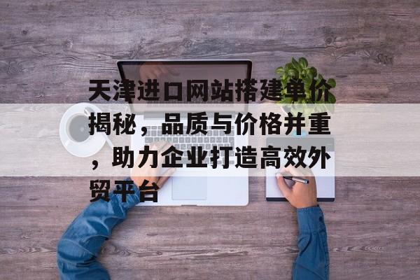 天津进口网站搭建单价揭秘，品质与价格并重，助力企业打造高效外贸平台