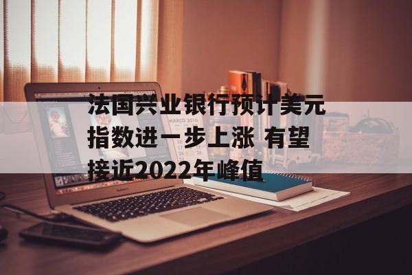 法国兴业银行预计美元指数进一步上涨 有望接近2022年峰值