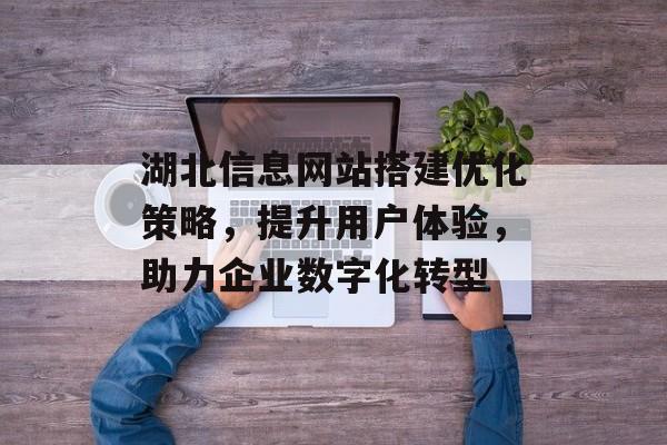 湖北信息网站搭建优化策略，提升用户体验，助力企业数字化转型