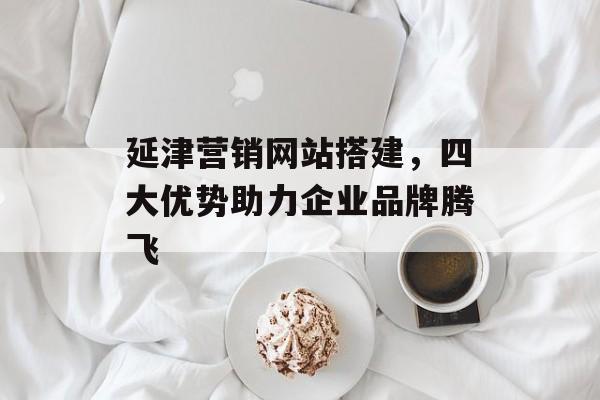 延津营销网站搭建，四大优势助力企业品牌腾飞