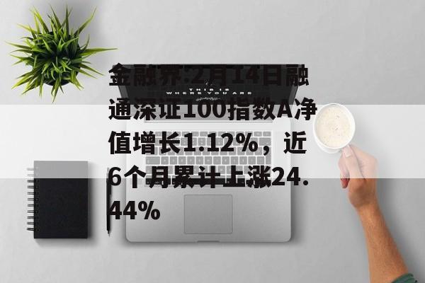 金融界:2月14日融通深证100指数A净值增长1.12%，近6个月累计上涨24.44%