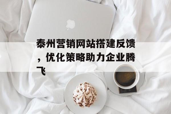 泰州营销网站搭建反馈，优化策略助力企业腾飞