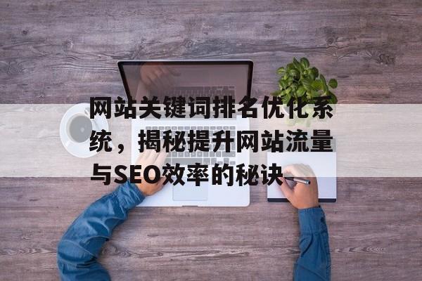 网站关键词排名优化系统，揭秘提升网站流量与SEO效率的秘诀