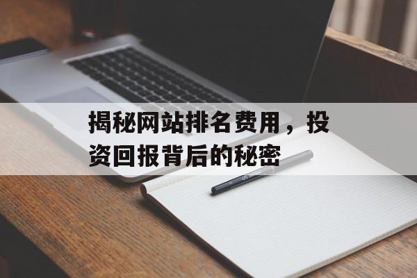 揭秘网站排名费用，投资回报背后的秘密