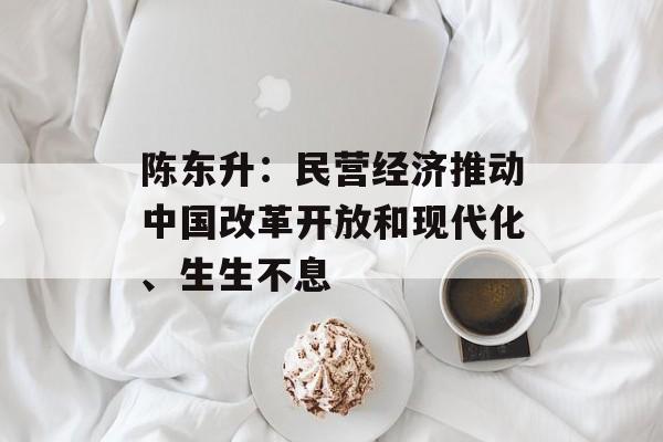 陈东升:民营经济推动中国改革开放和现代化、生生不息 陈东升:民营经济推动中国改革开放和现代化、生生不息
